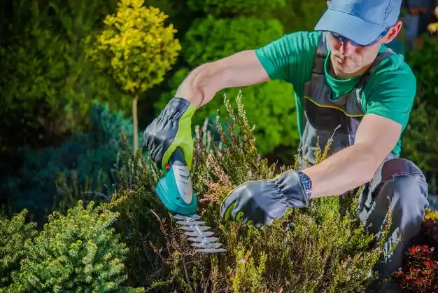 landscaping services Hamler